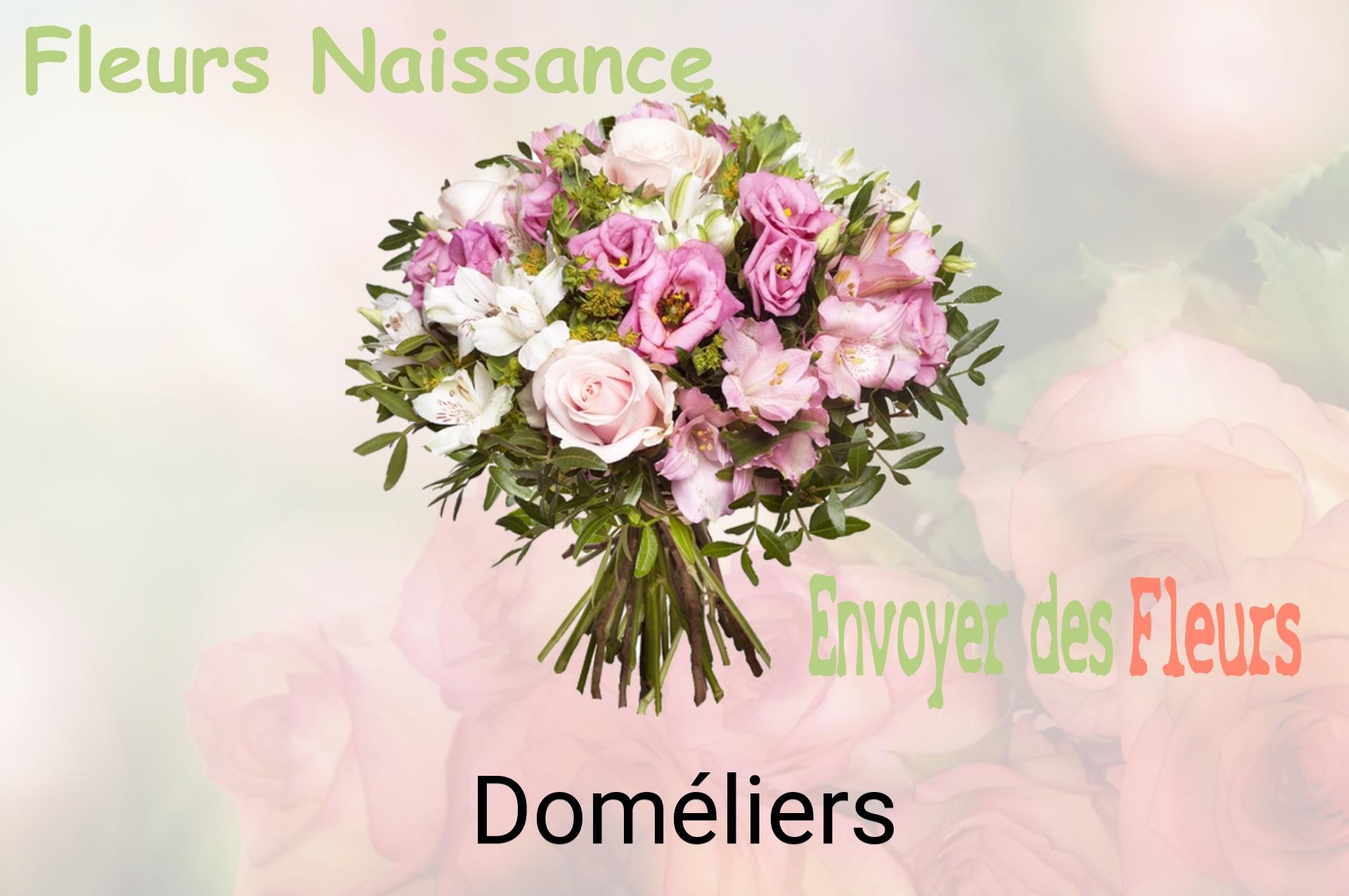 Bouquet de fleurs de naissance livré à Doméliers